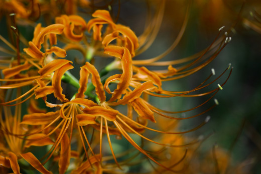 628755 (a): :1920x1280